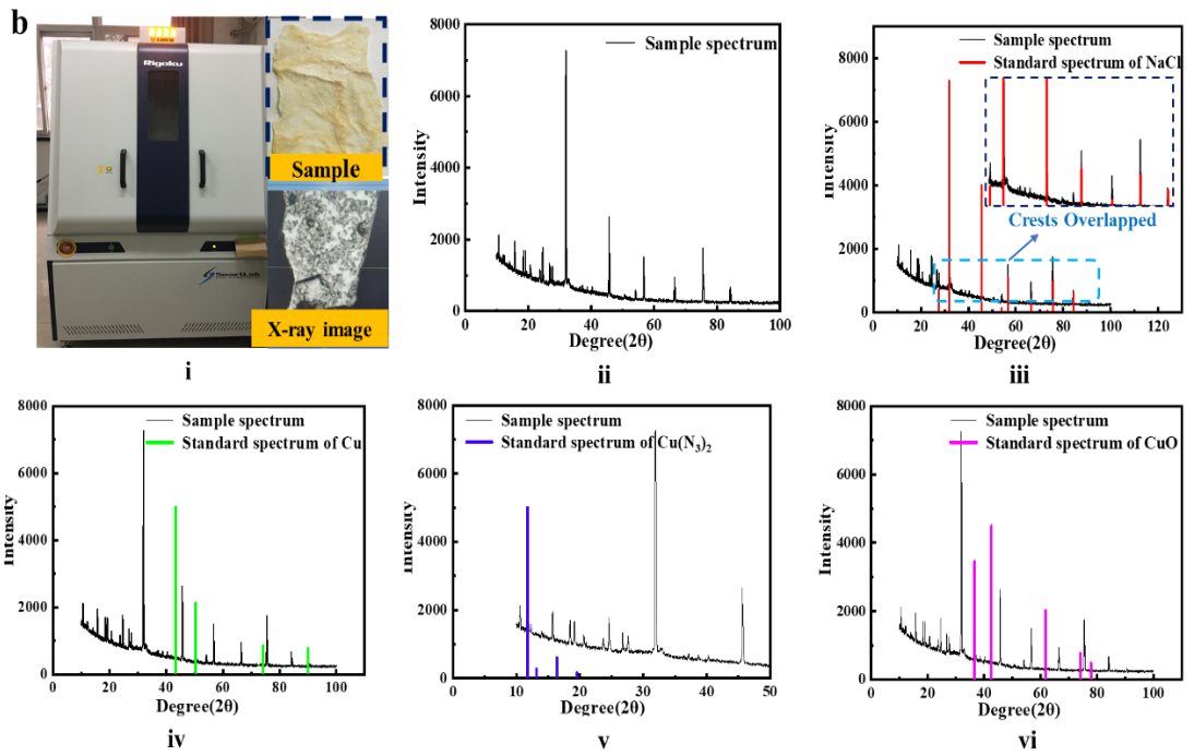 新澳门六合彩走势图