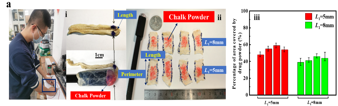 新澳门六合彩走势图