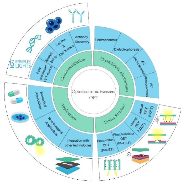 新澳门六合彩走势图