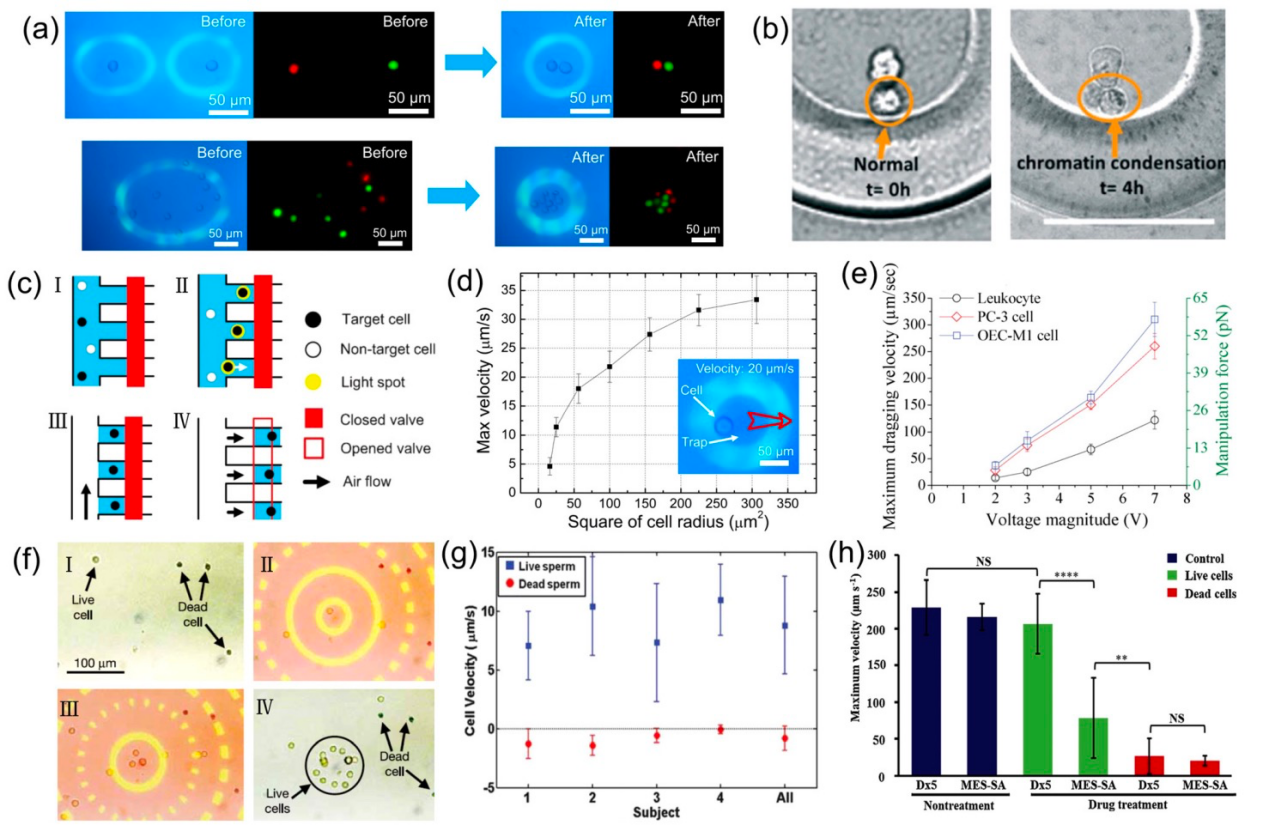 新澳门六合彩走势图