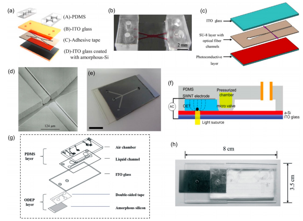 新澳门六合彩走势图