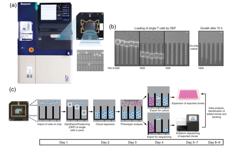 新澳门六合彩走势图