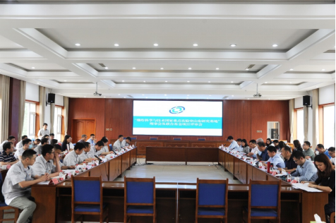 新澳门六合彩走势图