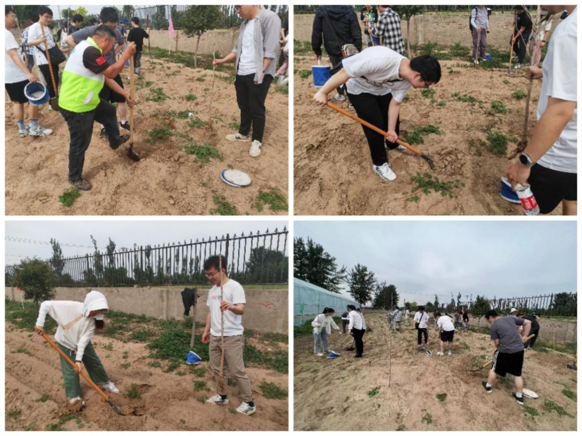 新澳门六合彩走势图