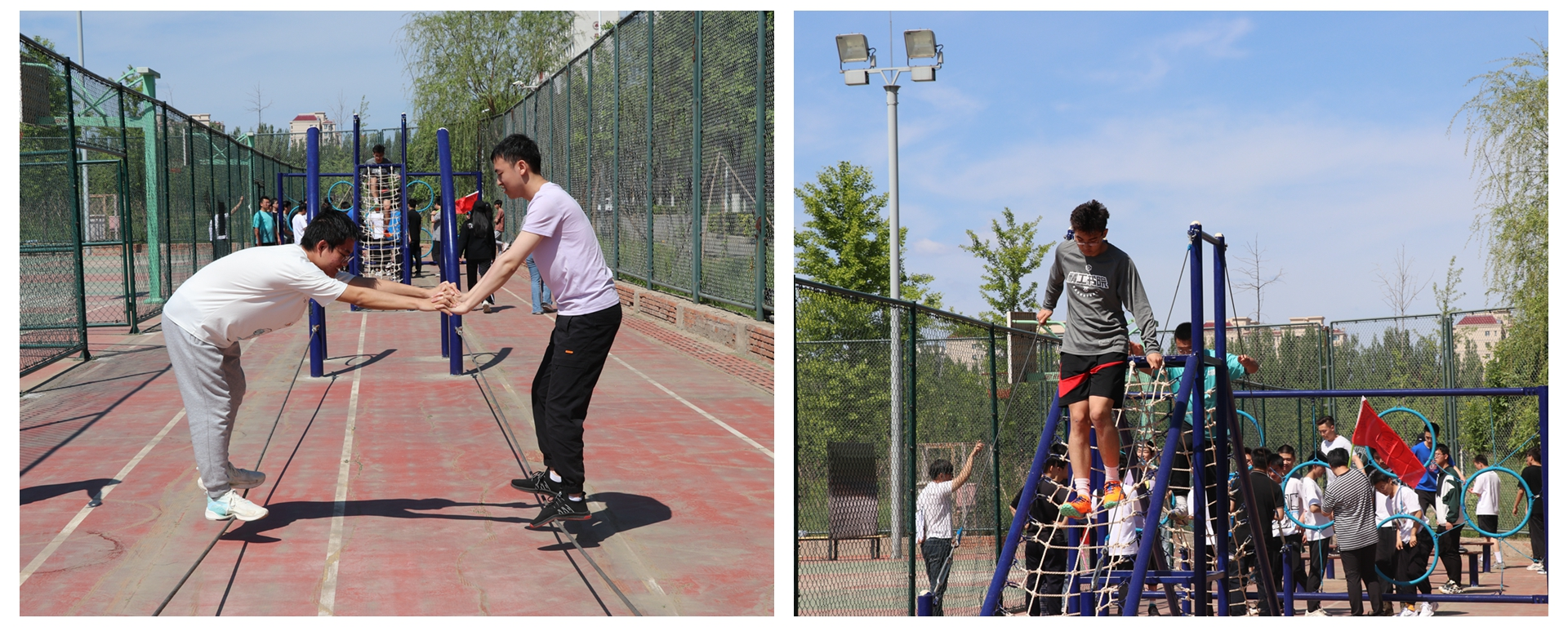 新澳门六合彩走势图