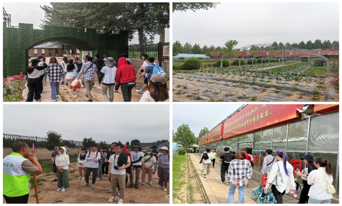 新澳门六合彩走势图