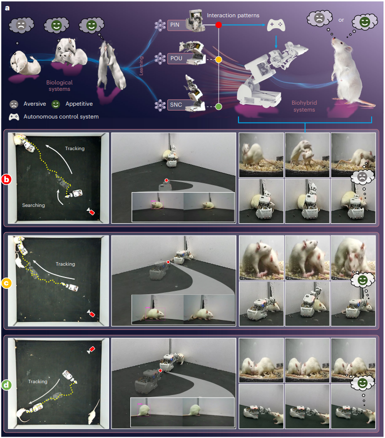 新澳门六合彩走势图