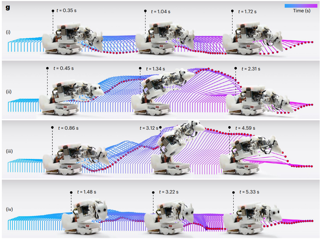 新澳门六合彩走势图