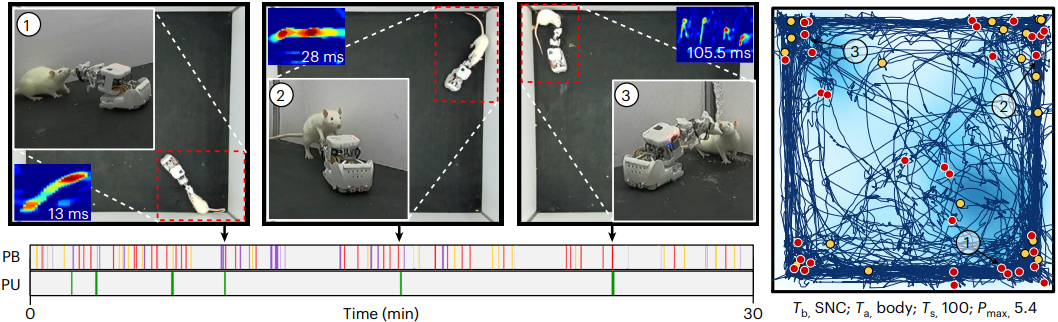 新澳门六合彩走势图