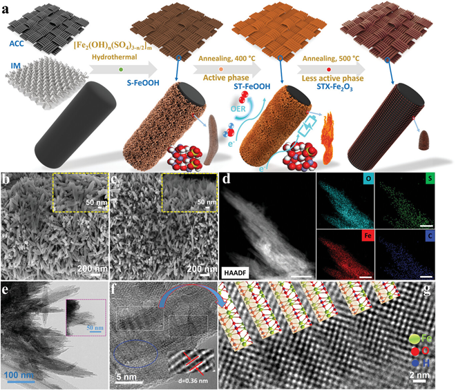 新澳门六合彩走势图